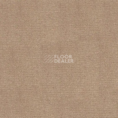 Ковролин Radici Abetone Nocciola 4974 фото 1 | FLOORDEALER